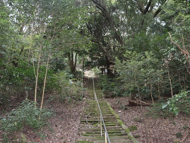 奥の院への参道_長谷寺