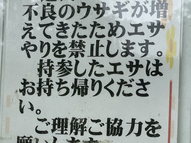 餌やりは中止になっておりました。_陶史の森