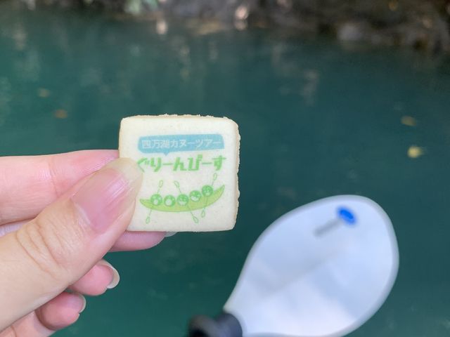 途中で可愛いクッキーいただきました♪_ぐりーんぴーす
