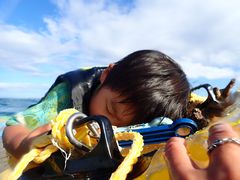 toragomaさんのmarine assist DEMIへの投稿写真1