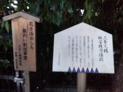 よし@兵庫さんの三条大橋の投稿写真1