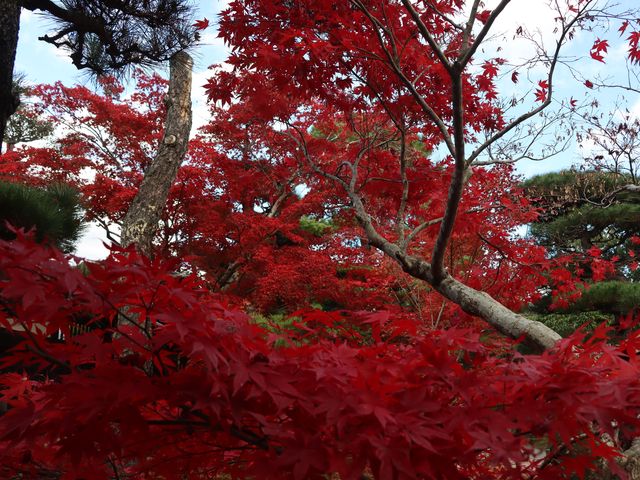 防府市 毛利氏庭園_毛利博物館・毛利氏庭園