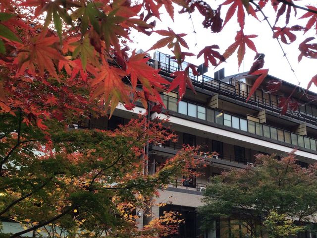 紅葉と天成園_天成園