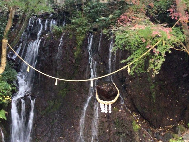 玉簾の瀧_天成園