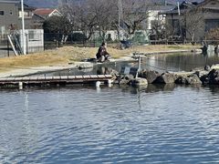 ボブさんのおさかなつり ととへの投稿写真1