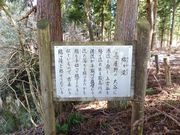 こぼらさんの綿ケ滝いこいの森の投稿写真4