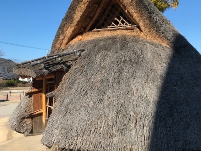 ミュージアムの隣にある竪穴式住居_あいち朝日遺跡ミュージアム