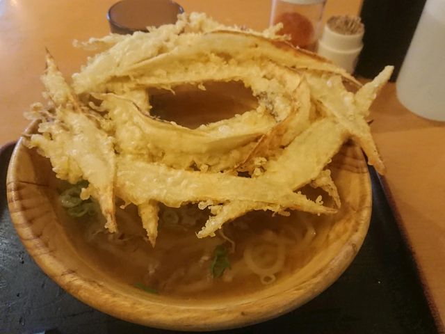 肉ごぼう天うどん_大地のうどん