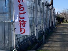 猛ちゃんさんのさくらファームへの投稿写真3