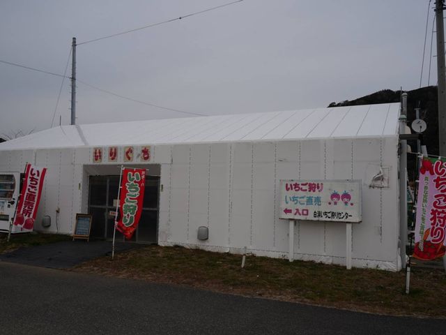 駐車場は目の前です_白浜いちご狩りセンター