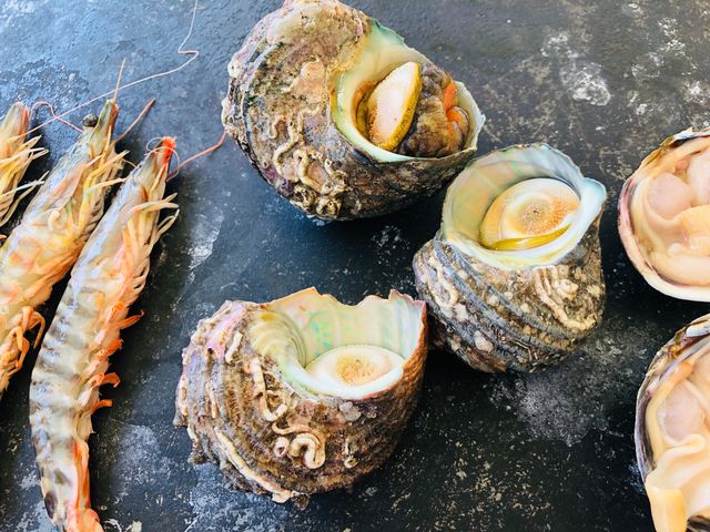 新鮮海鮮焼き
ブルーベリー狩りの前に………
_西尾ゴルフ ブルーベリーファーム
