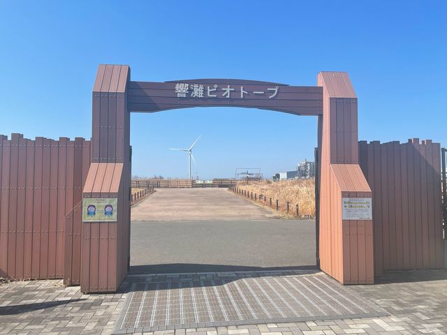 響灘ビオトープ_北九州市響灘ビオトープ