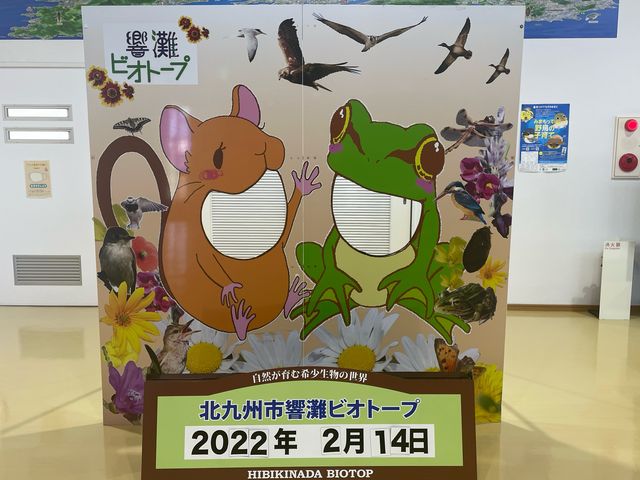 バレンタインデーに訪問_北九州市響灘ビオトープ
