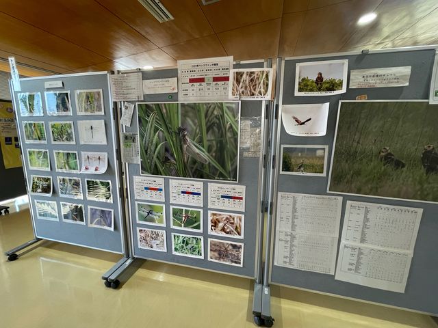 展示_北九州市響灘ビオトープ