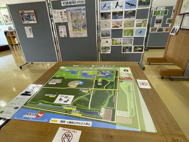 見どころマップ_北九州市響灘ビオトープ