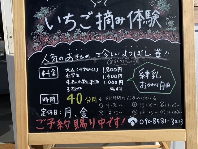 いちご狩り体験案内_サニーさんファーム