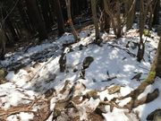 ああああさんの局ケ岳の投稿写真6