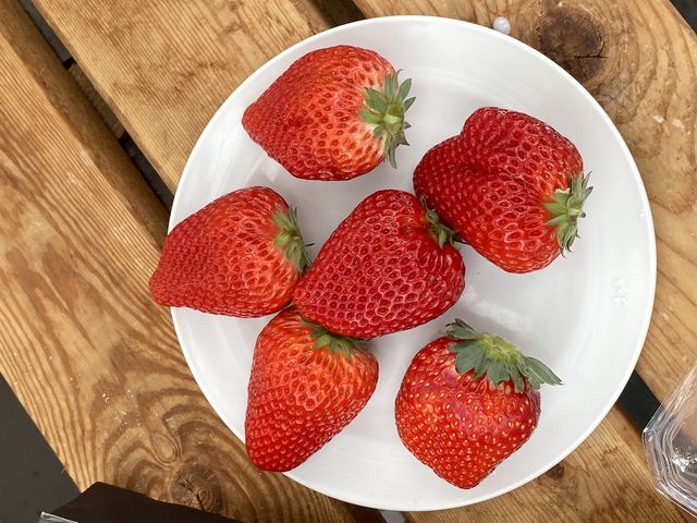 持ち帰る一粒を吟味しました。(一粒以外は全てその場で食べました!)_フルーツループ
