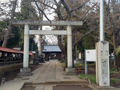あおしさんの大井氷川神社への投稿写真1