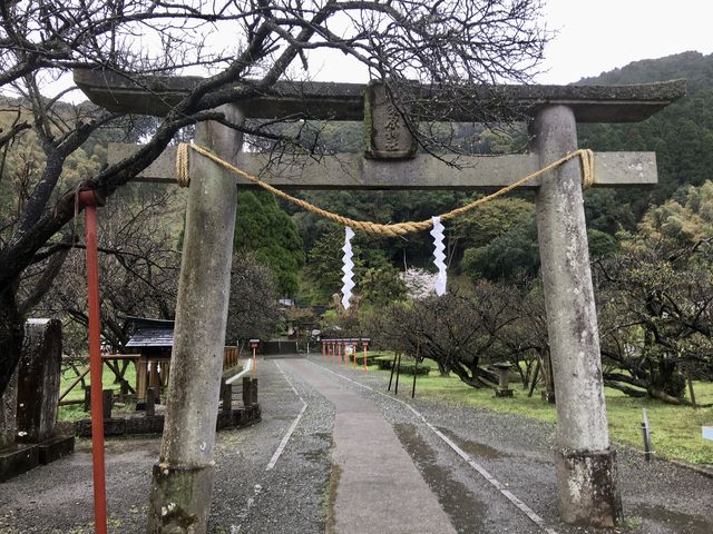 藤川天神(菅原神社)_藤川天神