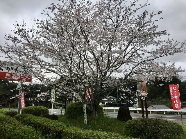 poporonさんの生産物直売所ひらかわ屋の投稿写真2