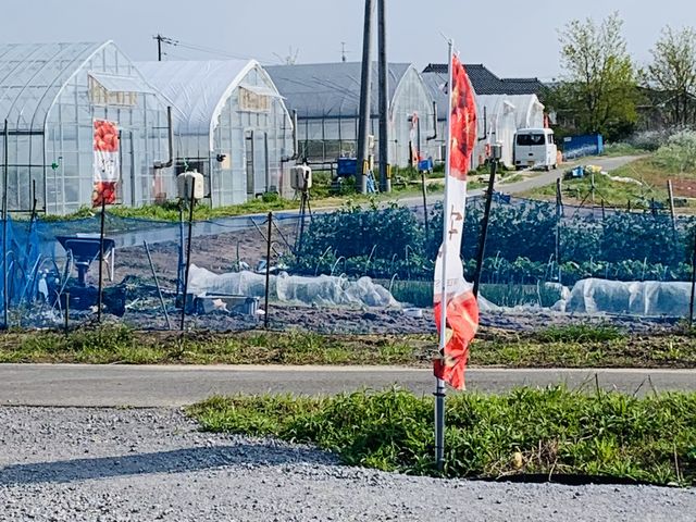 到着です。_フルーツフィールド鳥取砂丘
