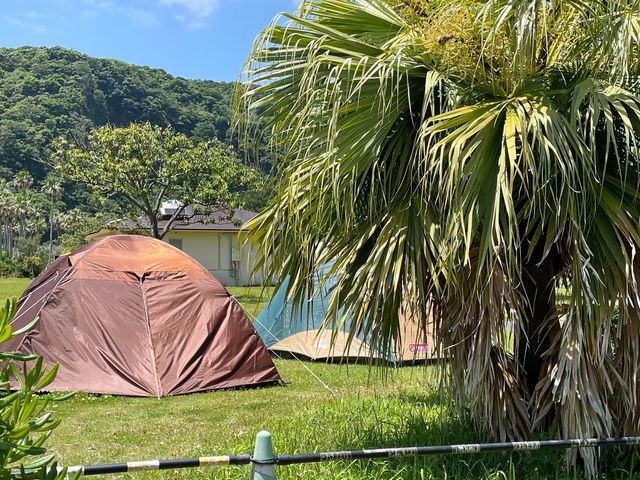 キャンプ場_休暇村指宿