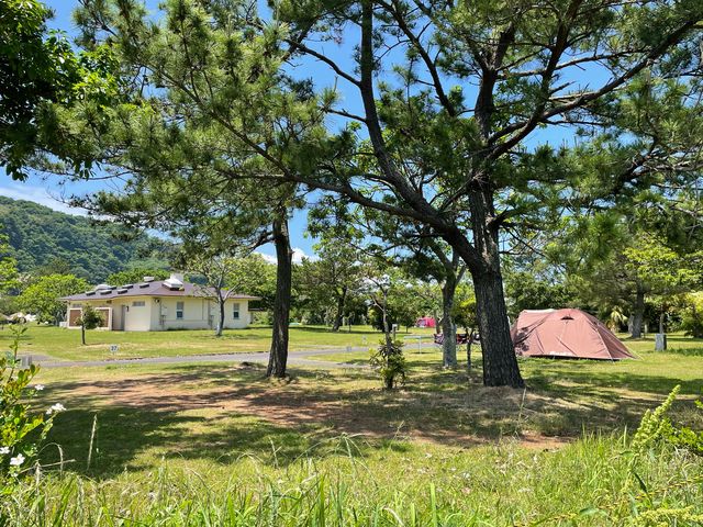 キャンプ場_休暇村指宿