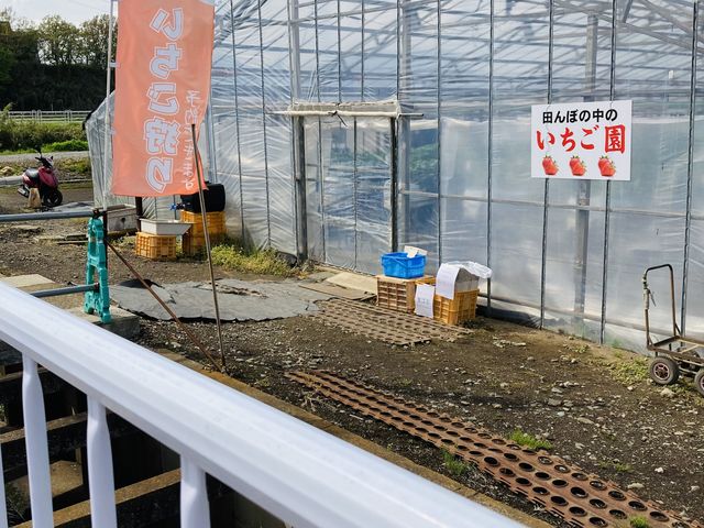 入口です。_田んぼの中のいちご園