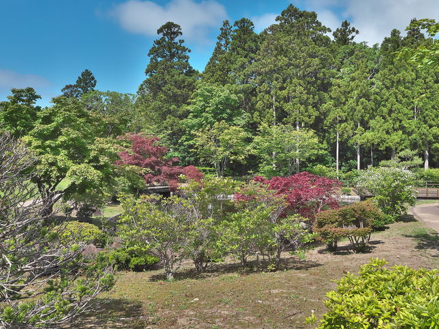 カントリーパーク日本庭園_カントリーパーク日本庭園