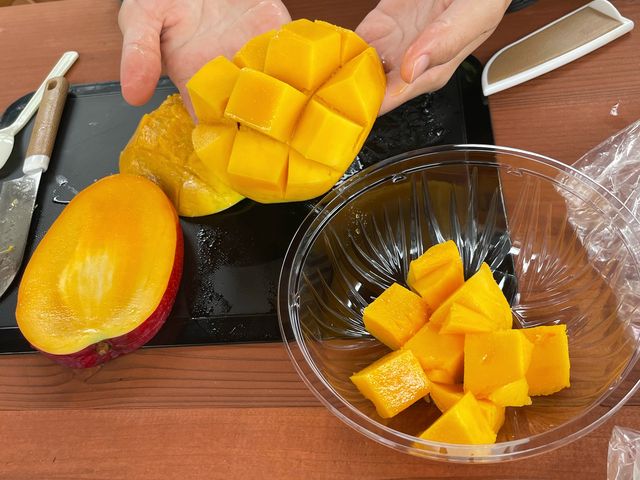 カットの仕方も説明してもらえ、上手く甲羅のような形にもできました。_のはらファーム