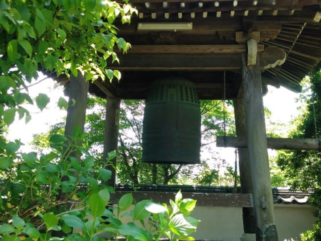 2022年6月13日 早めの紫陽花_資福寺
