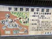 てんてんさんの宇津野洞窟の投稿写真2