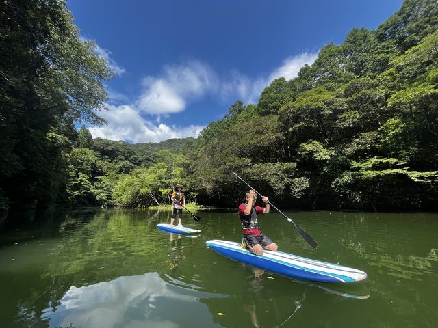 立っても座っても安定して漕げます。_WHIZ