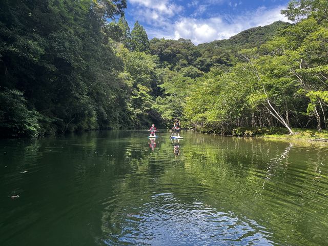 周りの景色や、水の中の魚を見ながら進んでいきます。_WHIZ