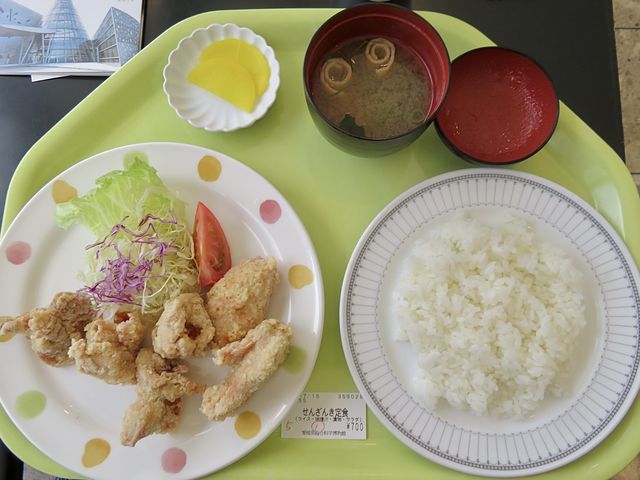 要は700円の唐揚げ定食です。揚げた時の油が多くて今一でした。_科博レストラン
