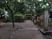 みどりさんの磯神社のツツジの投稿写真3