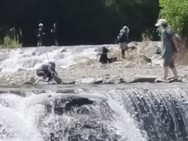 滝も涼やか_小平河川公園