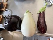 ハンプティーさんのみぶマルヨシ農園の投稿写真1