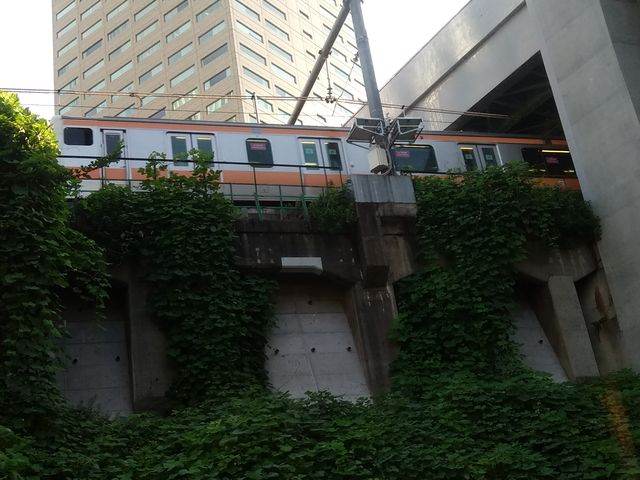 御茶ノ水駅の聖橋を下から見ていたら中央線が見えましたよ〜。
*丸の内線も見えますよ!_下町探検クルーズ ガレオン