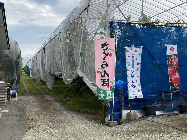 正面より_広果園