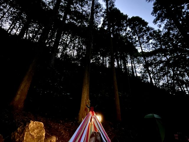 ハンモックでのととのいも格別。木々が揺れてるのか、ハンモックが揺れているのか、視界が揺らいでいるのか_レストハウス 森のしらべ/アクティビティプラネット雲仙