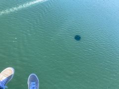 はるさんのSky walker-amakusaへの投稿写真2