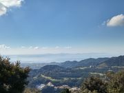 たっちゃんさんの宮路山のコアブラツツジの投稿写真1