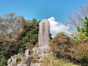 たっちゃんさんの宮路山のコアブラツツジの投稿写真2