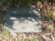 トシさんのどんづる峯の投稿写真4