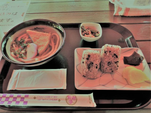 茶屋ランチ「いざなみ米入りうどん」+黒米おにぎりのセット_お綱茶屋