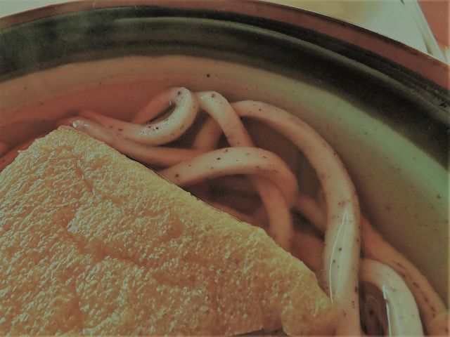 いざなみ米入りうどん:蕎麦のような色合いと歯触りの麺_お綱茶屋