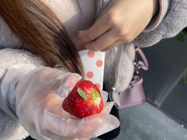 ヘタ入れ可愛い_ふぁいんファーム