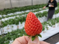 wackyさんのみつばちファームへの投稿写真2